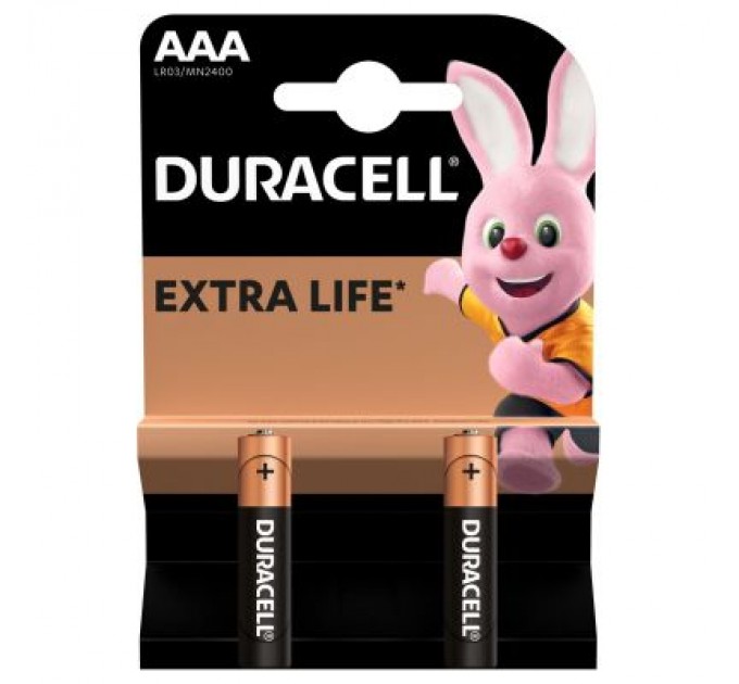 Duracell Батарейка Duracell AAA лужні 2 шт. в упаковці (5000394058170 / 81484984)