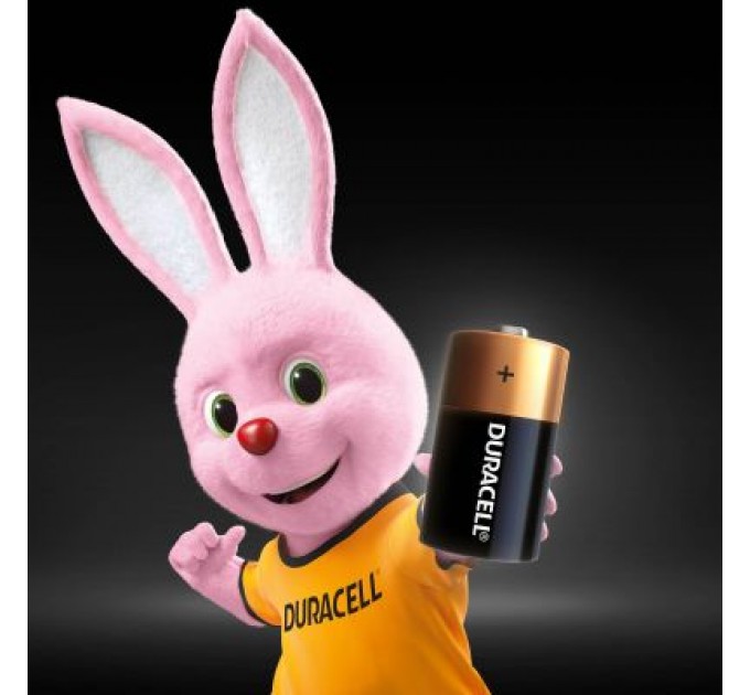 Duracell Батарейка Duracell C LR14 лужна 2шт. в упаковці (5000394052529 / 81483545)
