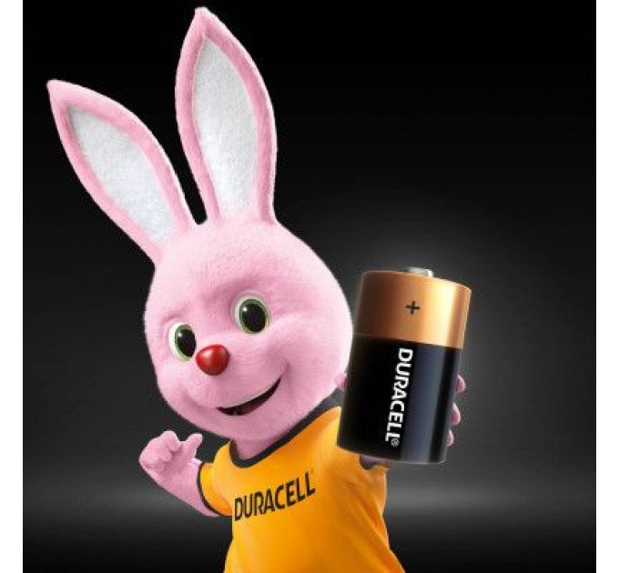 Duracell Батарейка Duracell D LR20 лужна 2шт. в упаковці (81545439/5005987/5014435)