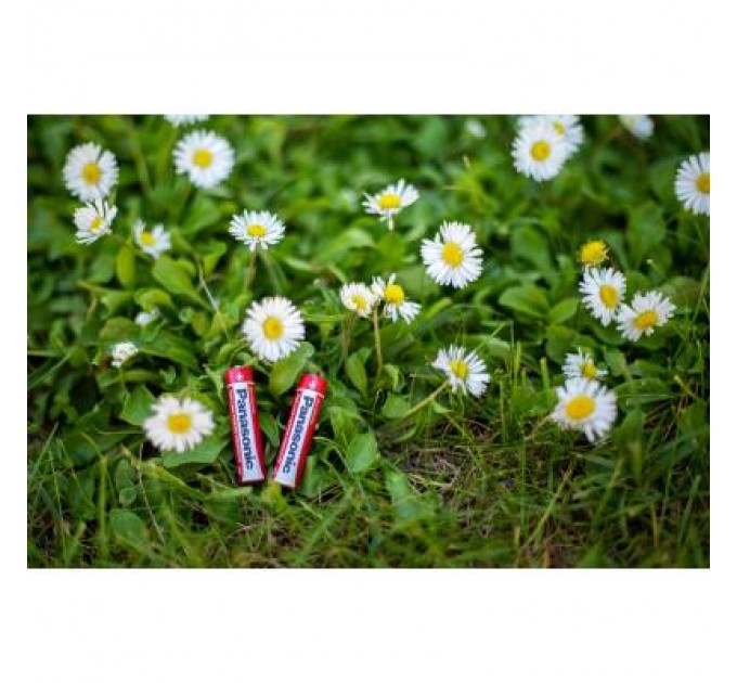 Panasonic Батарейка Panasonic AAA R03 RED ZINK * 4 (R03REL/4BP)