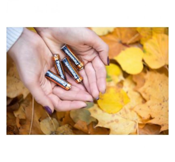 Panasonic Батарейка Panasonic LR06 Alkaline Power * 2 (LR6REB/2BP)