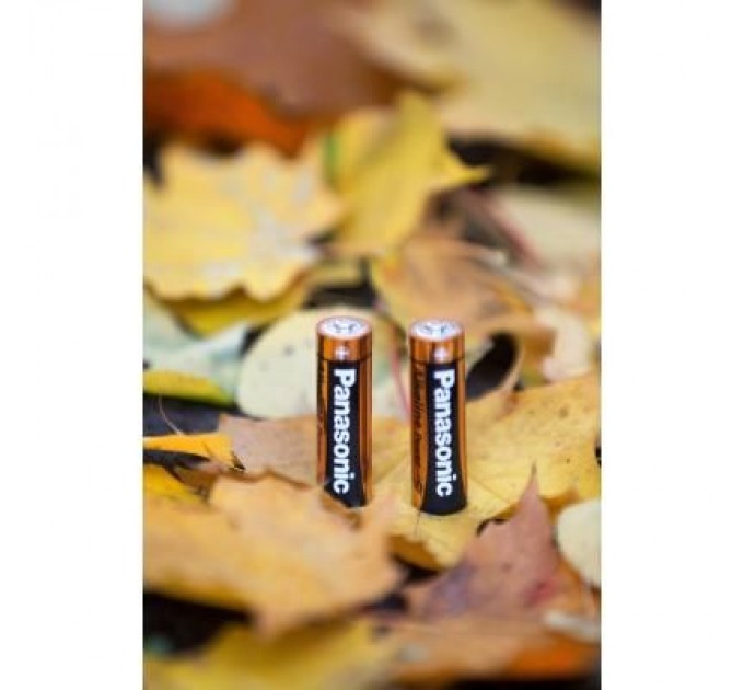 Panasonic Батарейка Panasonic LR06 Alkaline Power * 2 (LR6REB/2BP)