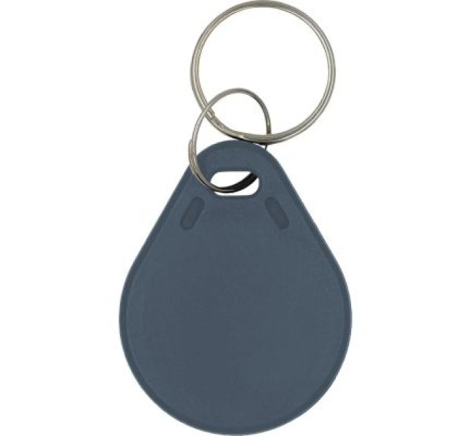 Trinix Брелок з чіпом Trinix P-key RW gray