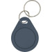 Trinix Брелок з чіпом Trinix P-key RW gray