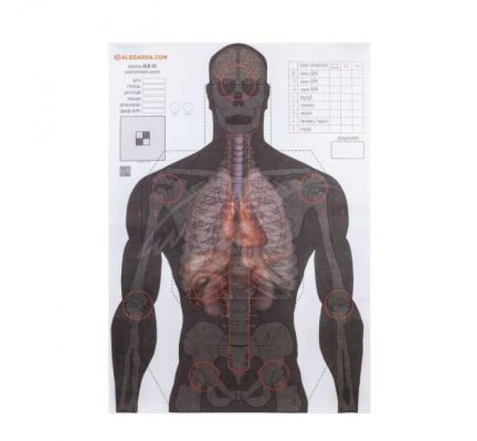 Мішень Алебарда "Анатомический силуэт" ALB-50 (566)