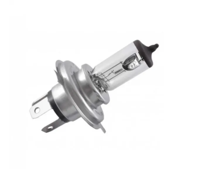 Bosch Автолампа Bosch галогенова 60/55W (1 987 302 803)