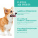 Optimeal Сухий корм для собак Optimeal для цуценят всіх порід зі смаком індички 12 кг (4820083905483)