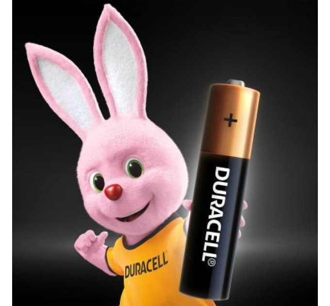 Duracell Батарейка Duracell AAA лужні 2 шт. в упаковці (5000394058170 / 81484984)