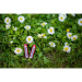 Panasonic Батарейка Panasonic AAA R03 RED ZINK * 4 (R03REL/4BP)