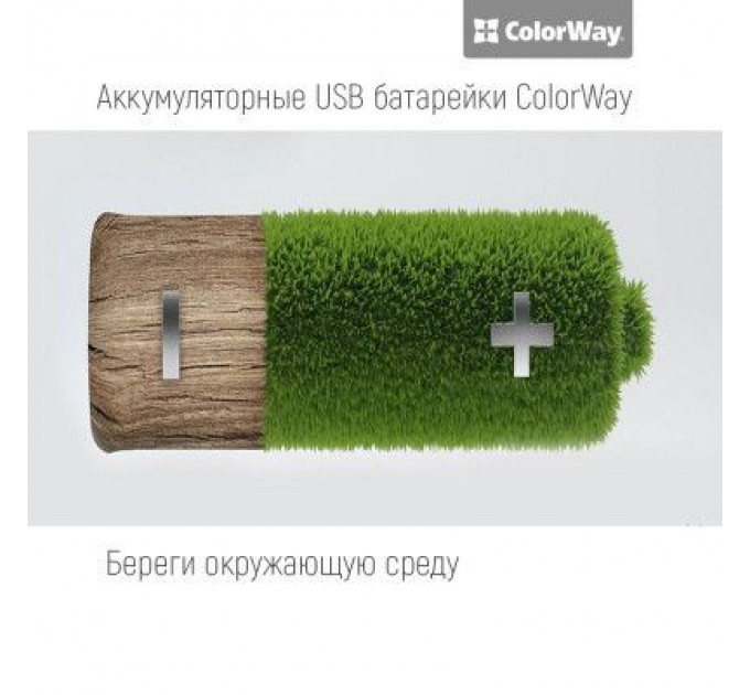 ColorWay Акумулятор ColorWay AAA USB-micro 400 mAh * 2 (CW-UBAAA-01)