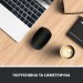 Logitech Мишка Logitech M171 Black (910-004424)