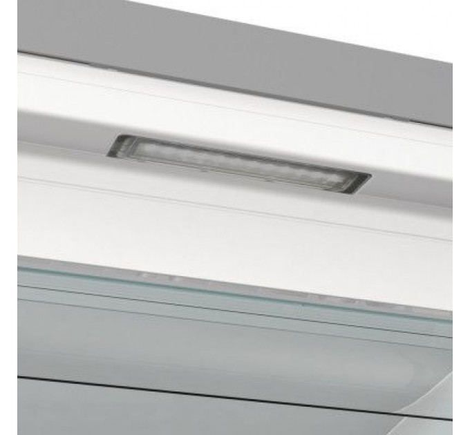 Морозильна камера Gorenje FN619EAXL6