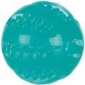 Trixie Іграшка для собак Trixie Denta Fun М'яч d 6 см (4011905336800)