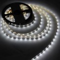 Світлодіодна стрічка LED-STIL 6000K 4,8 Вт/м 2835 60 діодів IP33 12 Вольт 550 lm (DFN2835-60A6-IP33)