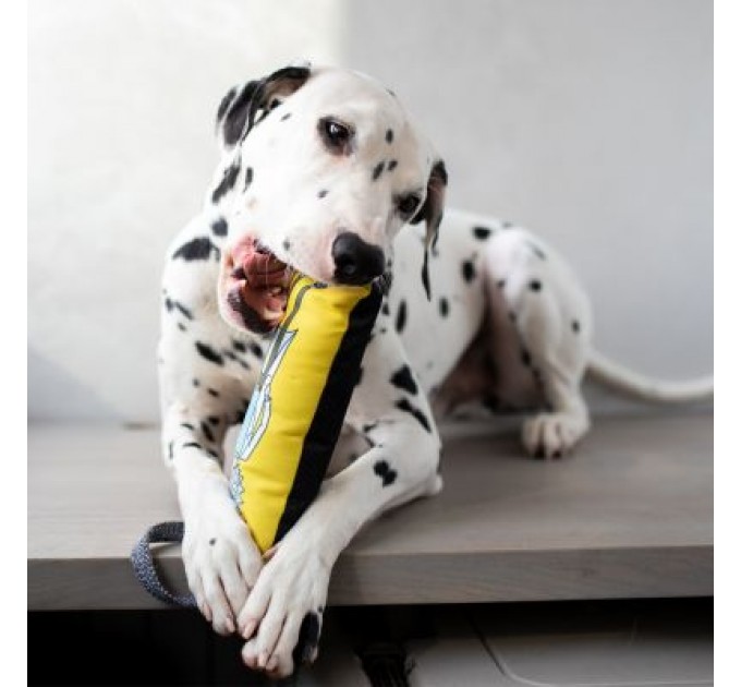 WAUDOG Іграшка для собак WAUDOG Fun "Рік і Морті 2" з пискавкою S (629-0281)