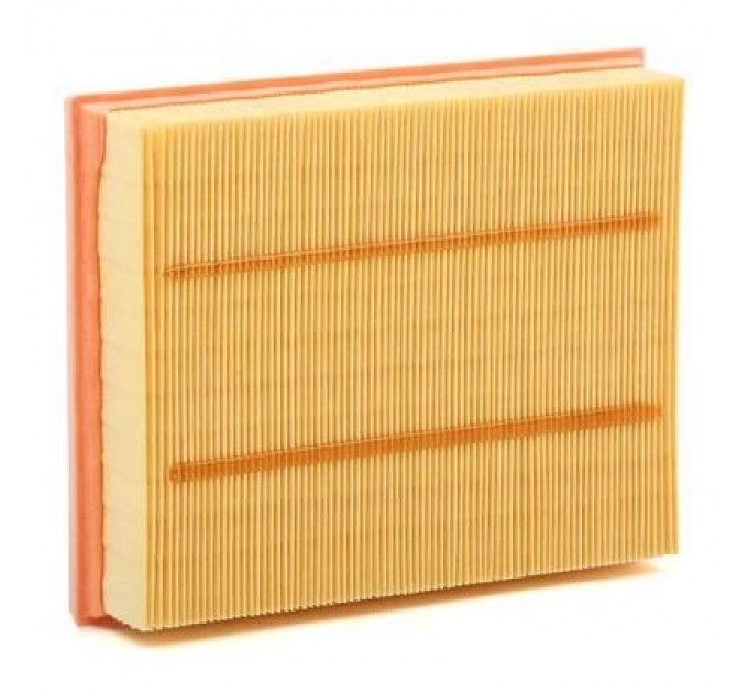 Mann Повітряний фільтр для автомобіля Mann C25008/1