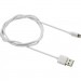 Дата кабель USB 2.0 AM to Lightning 1.0m MFI Canyon (CNS-MFICAB01W)
