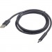 Cablexpert Дата кабель USB 2.0 AM to Type-C 1.8m Cablexpert (CCP-USB2-AMCM-6)