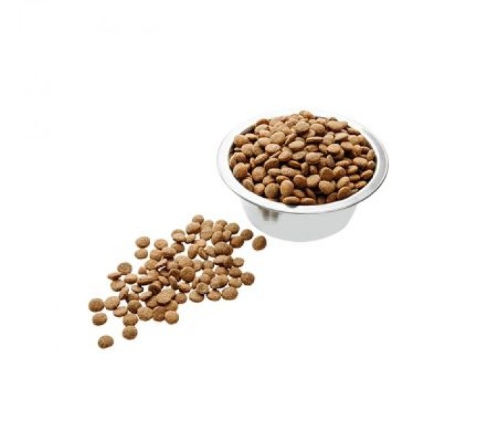 Пан Кот Сухий корм для кішок Пан Кот Класик для кошенят 400 г (4820111140398)