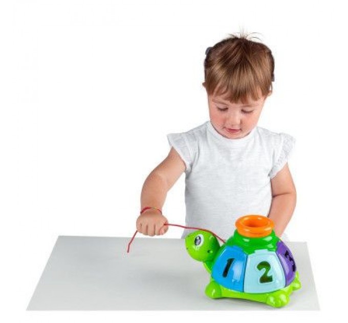 Chicco Розвиваюча іграшка Chicco сортер Черепаха (10622.00)