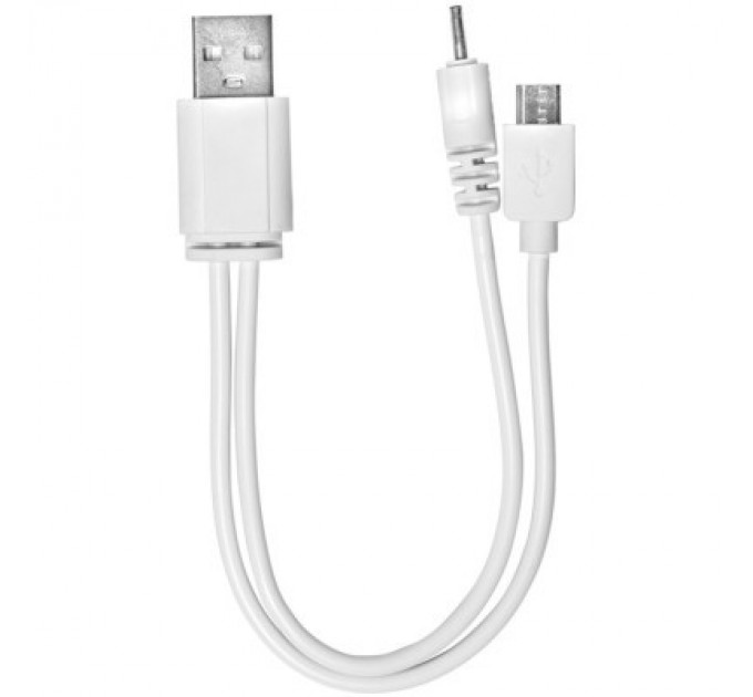 Delux Ліхтар Delux REL-101 36 LED 4W (90017676)