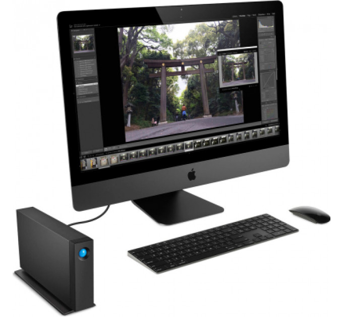 Зовнішній жорсткий диск 3.5" 24TB LaCie (STHA24000800)