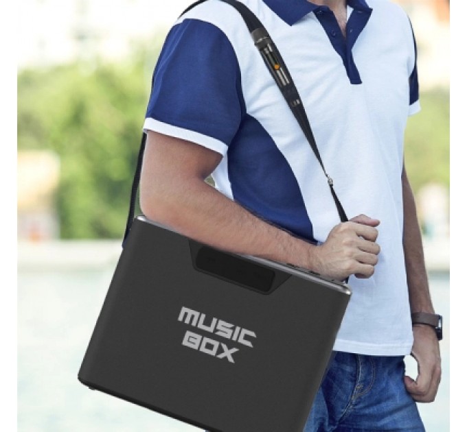 HIFuture Акустична система HIFuture MusicBox Black (musicbox.black)