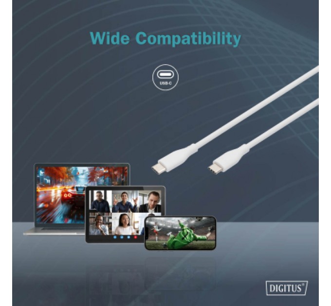 Assmann Дата кабель USB-C to USB-C 1.0m USB 2.0 60W silicone white Digitus (AK-300341-010-W)