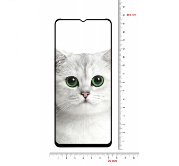 BeCover Скло захисне BeCover Realme C21Y Black (706904)