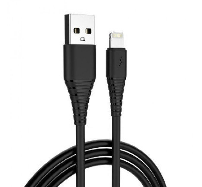ColorWay Зарядний пристрій ColorWay 1USB AUTO ID 2A (10W) black + cable Lightning (CW-CHS012CL-BK)