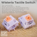 Клавіатура Epomaker TH80 Pro V2 75 Wisteria Tactile Switch Hot-Swap LCD Screen RGB Wireless/Bluetooth/USB UA White (TH80-PROV2-W-WT)