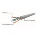 Cablexpert Патч-корд 1м UTP cat 6 CCA red Cablexpert (PP6U-1M/R)