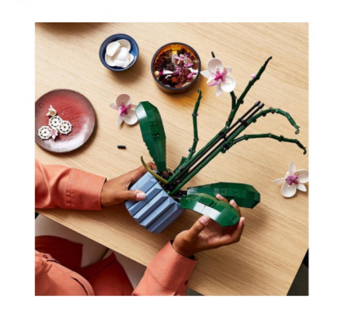 LEGO Конструктор LEGO Icons Орхідея (10311-)