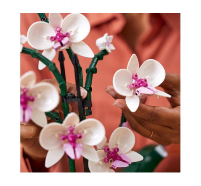 LEGO Конструктор LEGO Icons Орхідея (10311-)