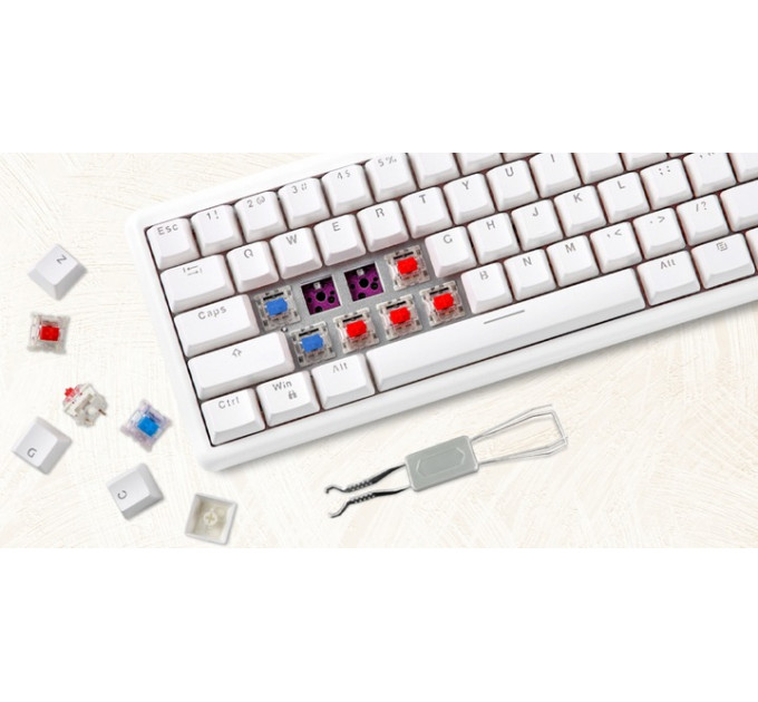 Клавиатура беспроводная Motospeed SK66 Gateron Blue Hot Swap White (mtsk66wmb)