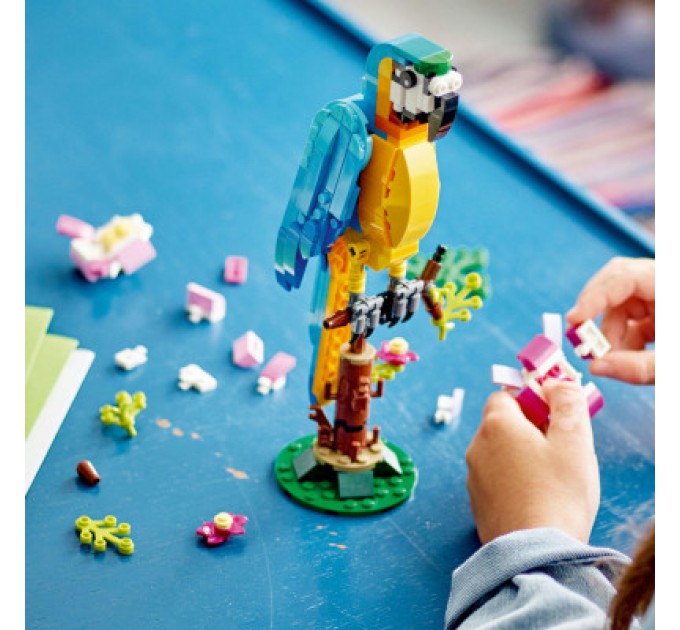 LEGO Конструктор LEGO Creator Екзотичний папуга 253 деталі (31136)