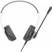 Гарнитура A4Tech FH100U Panda