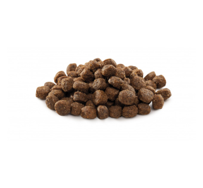 Brit Premium Сухий корм для собак Brit Premium Dog Adult S 3 кг (8595602526291)