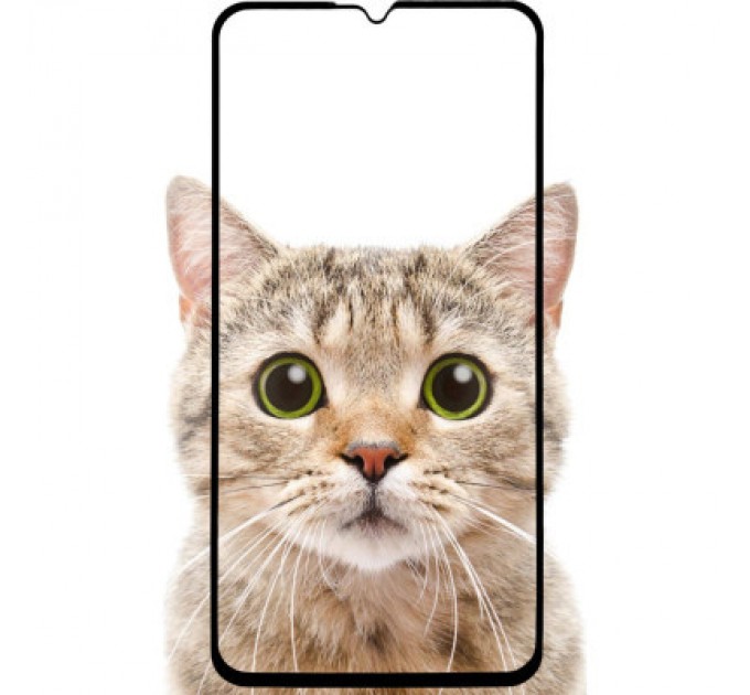 Скло захисне BeCover Samsung Galaxy M15 5G SM-M156 Black (711044)