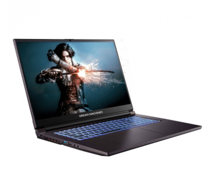 Ноутбук Dream Machines RG2050-17 (RG2050-17UA22)