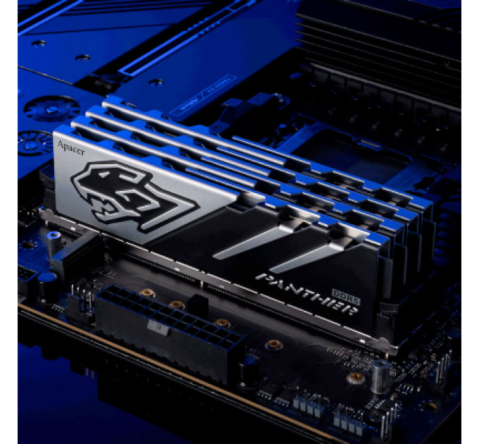 Модуль пам'яті для комп'ютера DDR5 32GB (2x16GB) 6000 MHz Panther Apacer (AH5U32G60C5127BAA-2)