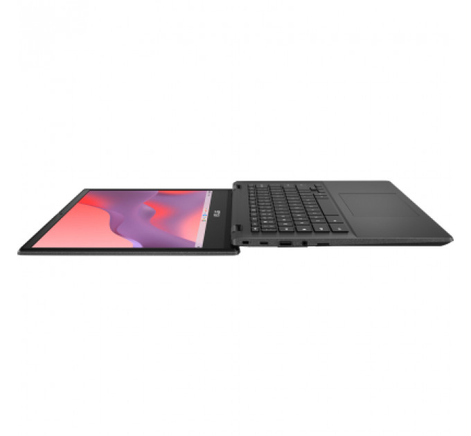 Ноутбук ASUS Chromebook CL1402CM2A-NK0256 (90NX0631-M009T0)