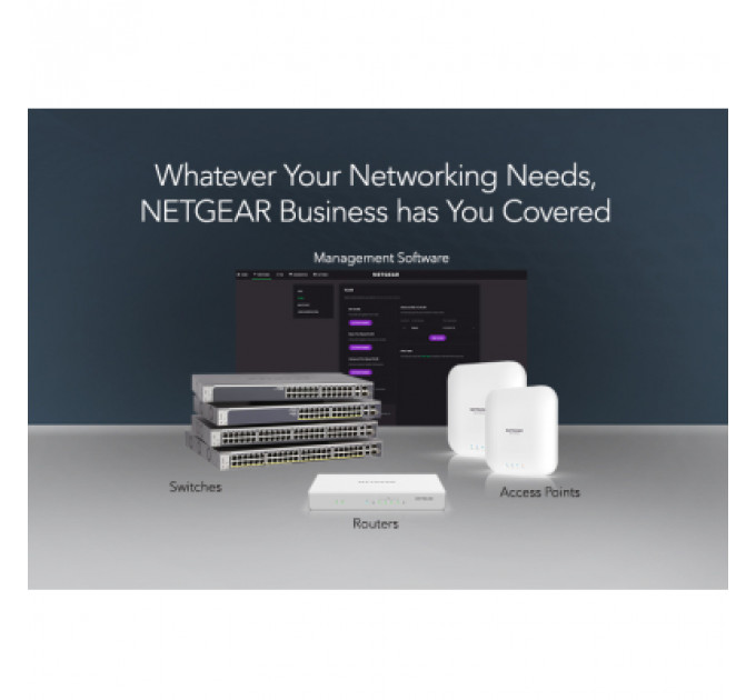 Комутатор мережевий Netgear GS324-200EUS