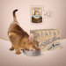 Club 4 Paws Вологий корм для кішок Club 4 Paws Selection Плюс Шматочки з кроликом та індичкою в соусі 80 г (4820215368001)