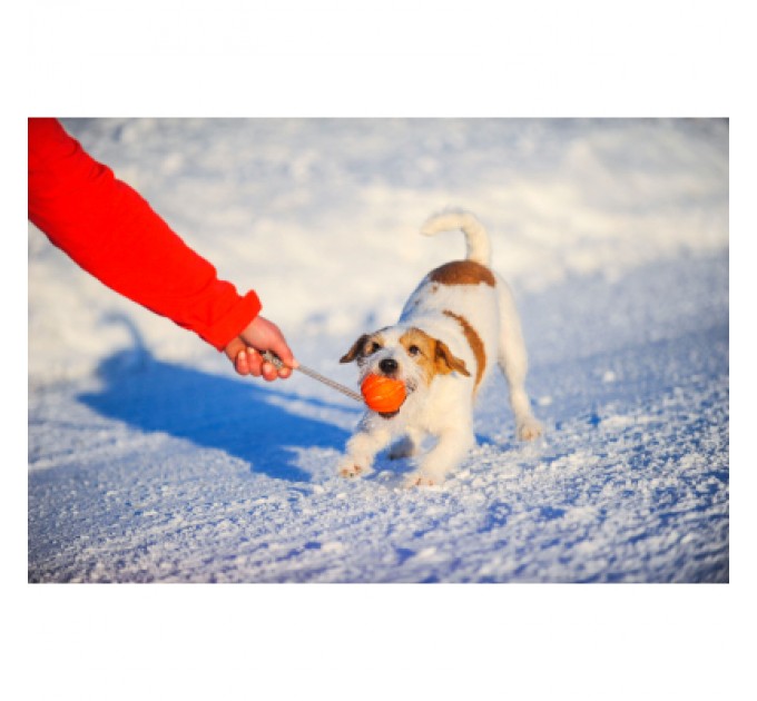 Liker Іграшка для собак Liker Cord М'ячик з мотузкою 9 см (6297)