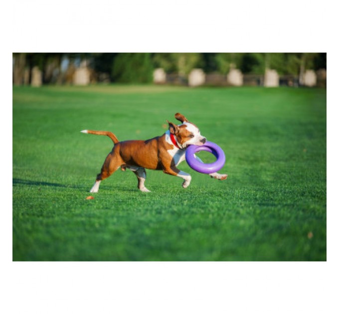 Puller Іграшка для собак Puller Maxi 30 см (6492)