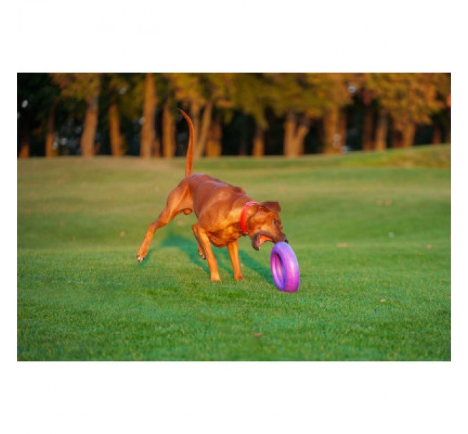 Puller Іграшка для собак Puller Maxi 30 см (6492)