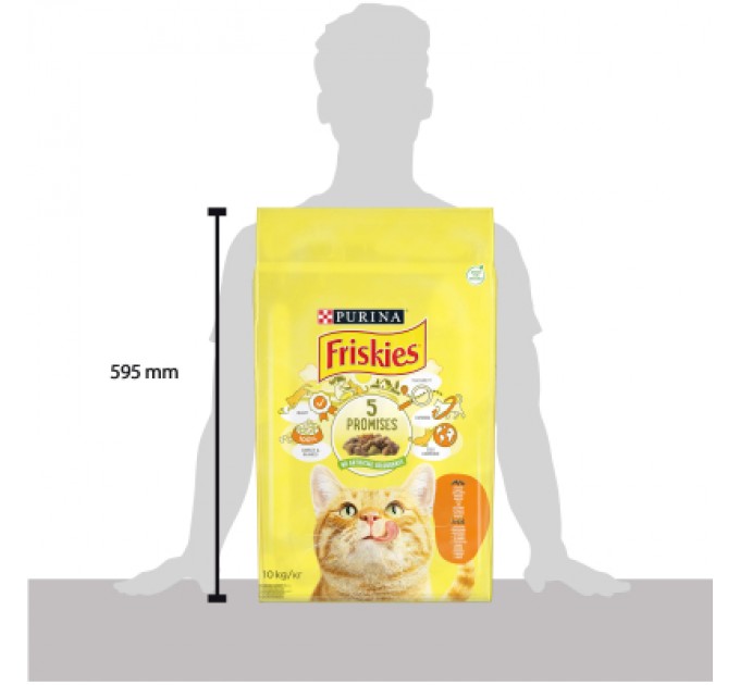 Сухий корм для кішок Purina Friskies з куркою та овочами 10 кг (5997204505101)