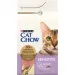 Purina Cat Chow Сухий корм для кішок Purina Cat Chow Sensitive з лососем 1.5 кг (7613035394131)