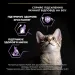 Purina Pro Plan Сухий корм для кішок Purina Pro Plan Original Kitten до 12 місяців з куркою 1.5 кг (7613036505178)